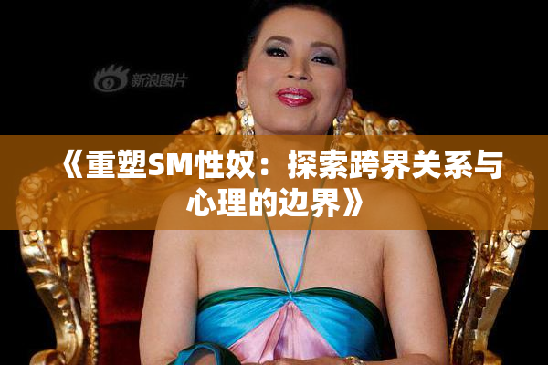《重塑SM性奴：探索跨界关系与心理的边界》