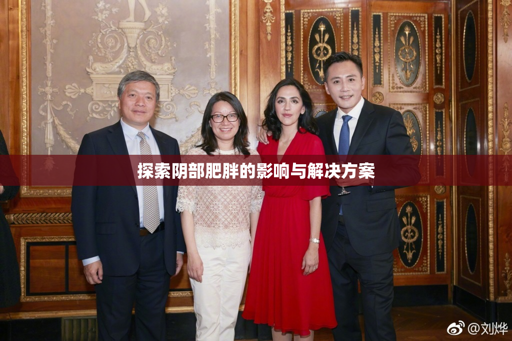 探索阴部肥胖的影响与解决方案