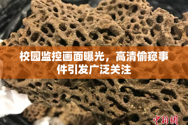 校园监控画面曝光，高清偷窥事件引发广泛关注
