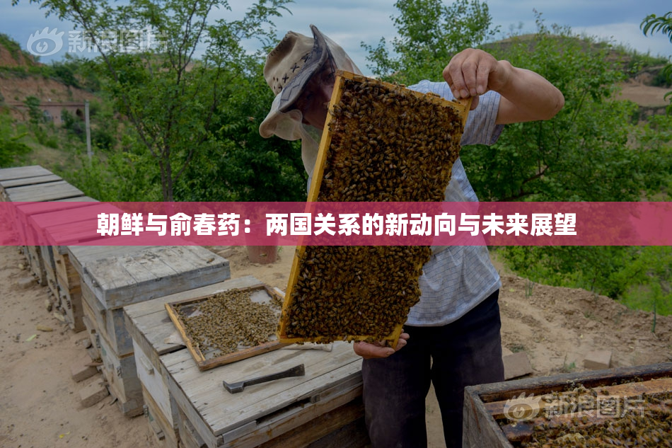 朝鲜与俞春药：两国关系的新动向与未来展望