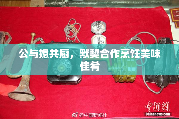 公与媳共厨，默契合作烹饪美味佳肴