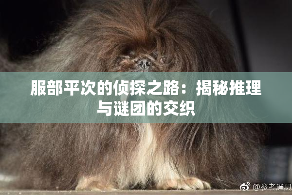 服部平次的侦探之路：揭秘推理与谜团的交织