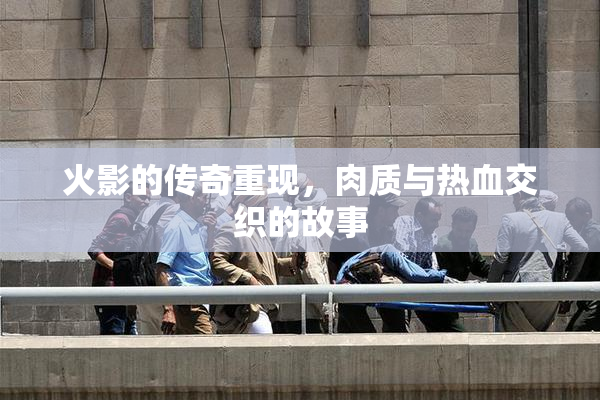 火影的传奇重现，肉质与热血交织的故事