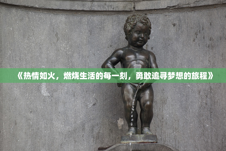 《热情如火，燃烧生活的每一刻，勇敢追寻梦想的旅程》