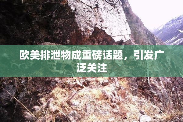 欧美排泄物成重磅话题，引发广泛关注