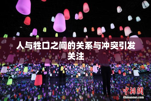 人与牲口之间的关系与冲突引发关注