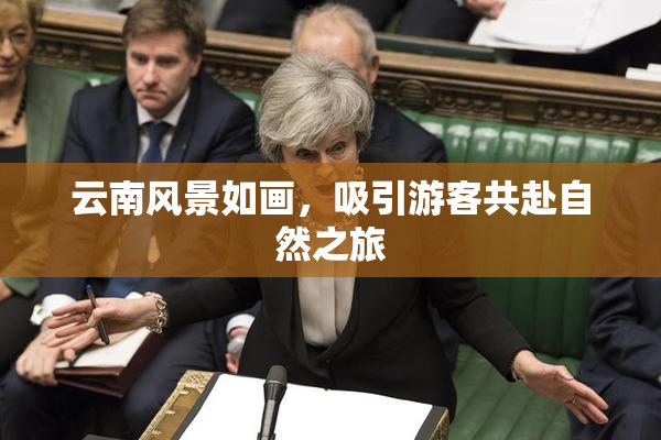 云南风景如画，吸引游客共赴自然之旅