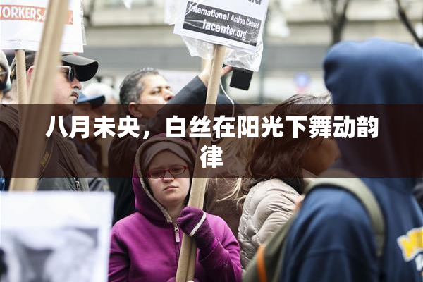 八月未央，白丝在阳光下舞动韵律