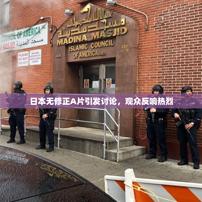 日本无修正A片引发讨论，观众反响热烈