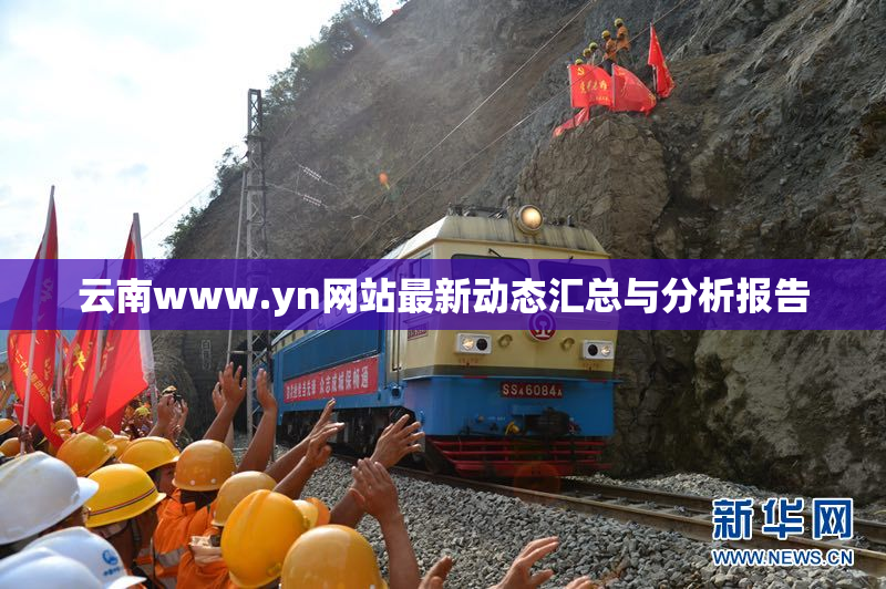 云南www.yn网站最新动态汇总与分析报告