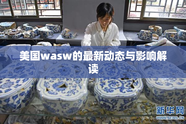 美国wasw的最新动态与影响解读