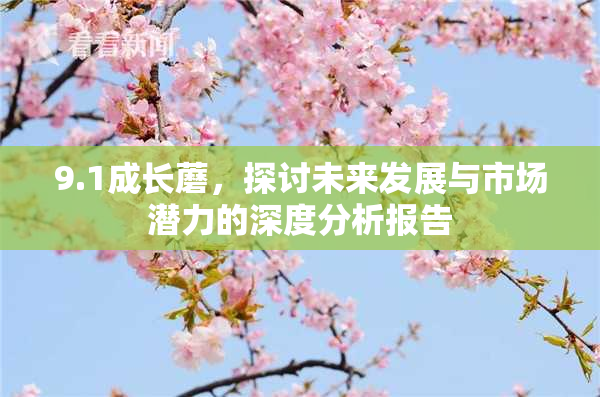 9.1成长蘑，探讨未来发展与市场潜力的深度分析报告