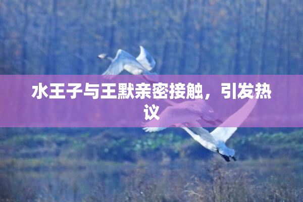 水王子与王默亲密接触，引发热议