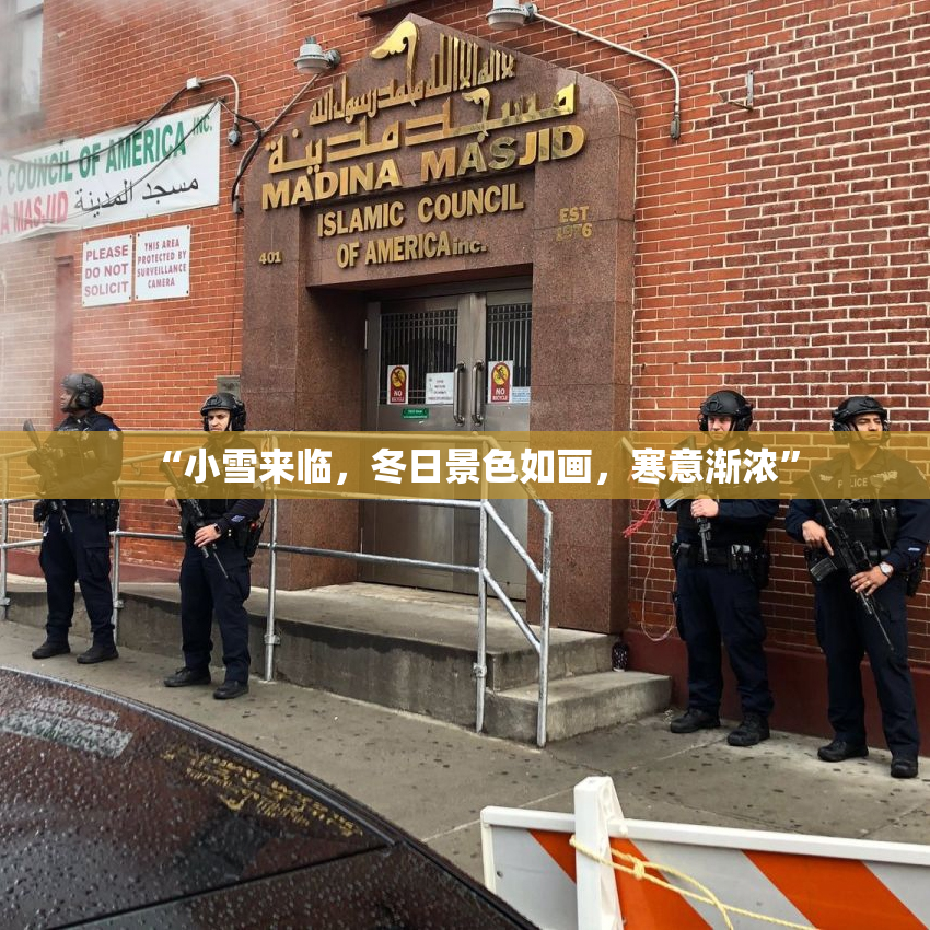 “小雪来临，冬日景色如画，寒意渐浓”