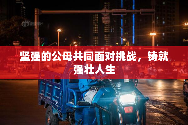 坚强的公母共同面对挑战，铸就强壮人生