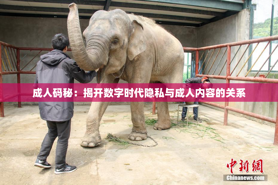 成人码秘：揭开数字时代隐私与成人内容的关系