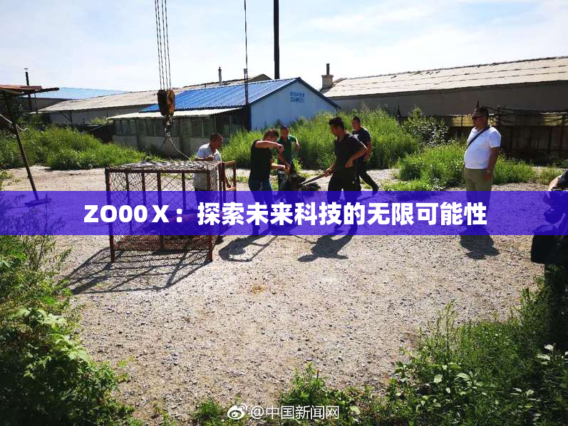 ZO00Ⅹ：探索未来科技的无限可能性