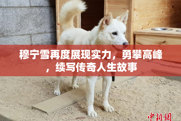 穆宁雪再度展现实力，勇攀高峰，续写传奇人生故事