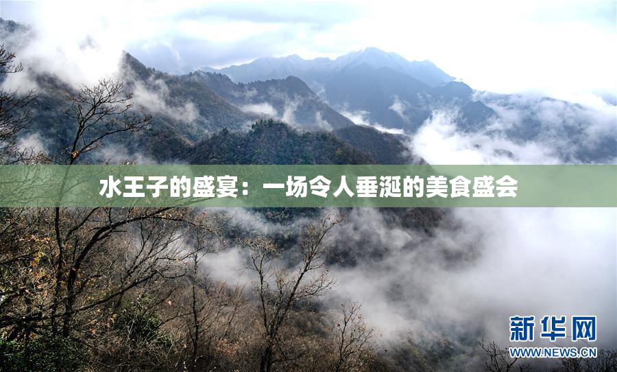 水王子的盛宴：一场令人垂涎的美食盛会