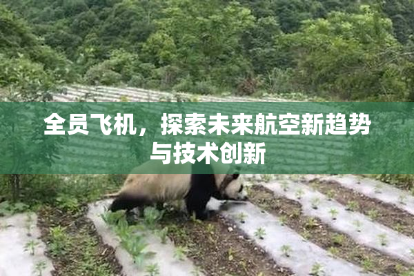 全员飞机，探索未来航空新趋势与技术创新