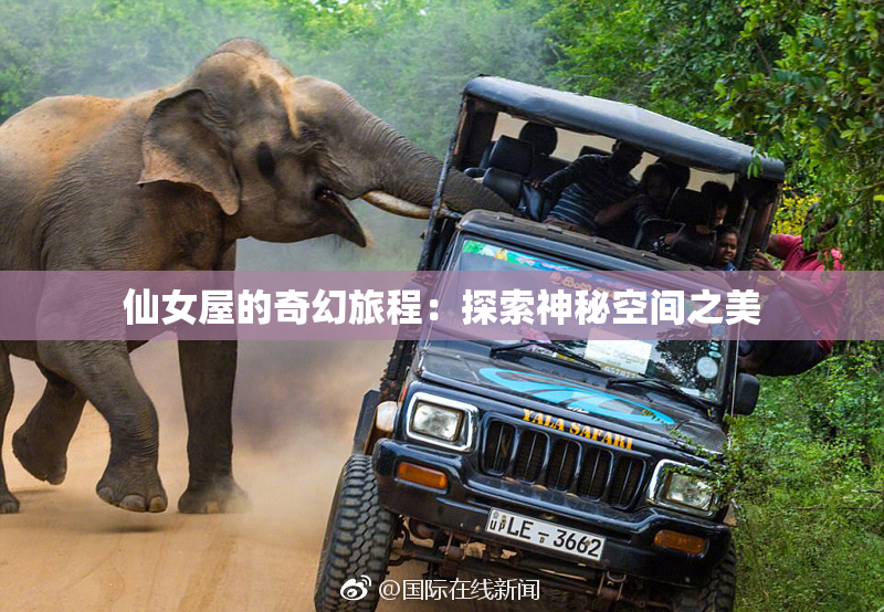 仙女屋的奇幻旅程：探索神秘空间之美