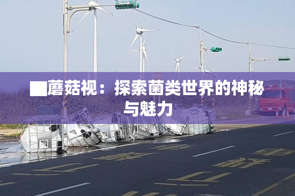 ▇蘑菇视：探索菌类世界的神秘与魅力