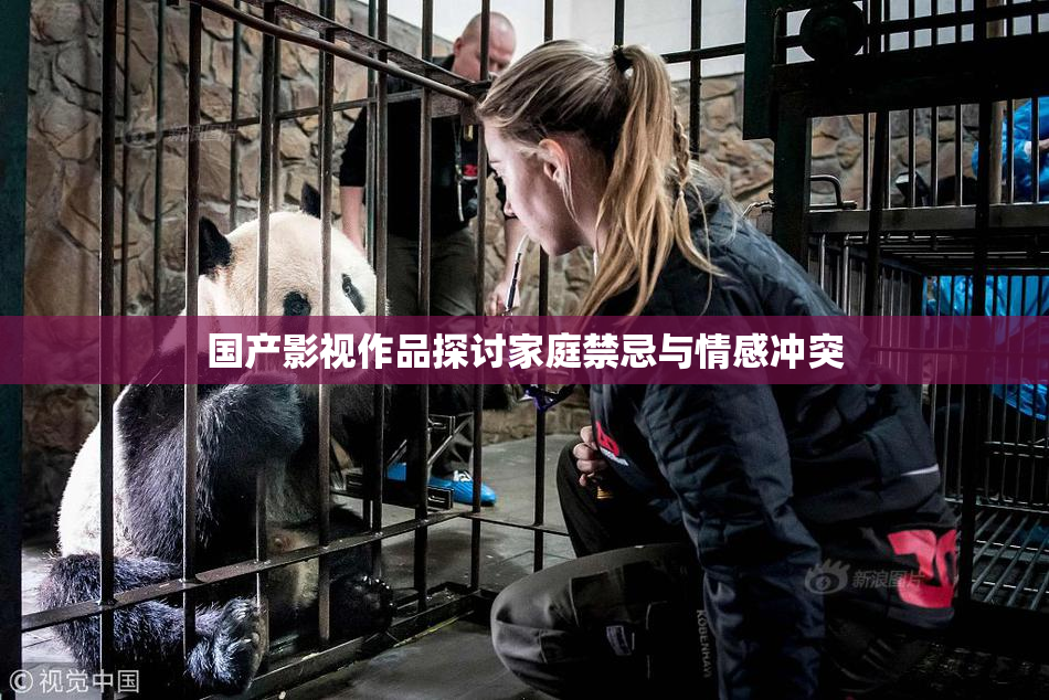 国产影视作品探讨家庭禁忌与情感冲突