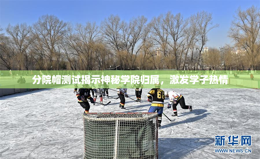分院帽测试揭示神秘学院归属，激发学子热情