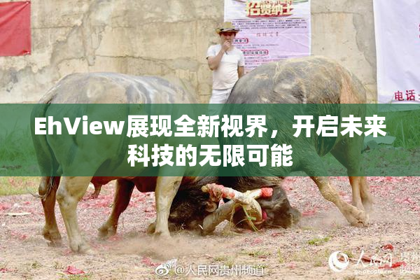 EhView展现全新视界，开启未来科技的无限可能