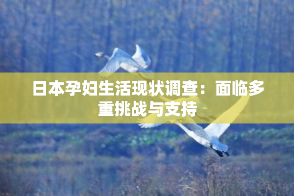 日本孕妇生活现状调查：面临多重挑战与支持