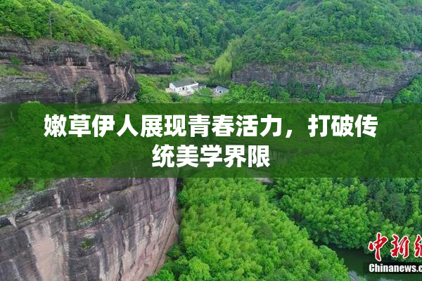 嫩草伊人展现青春活力，打破传统美学界限
