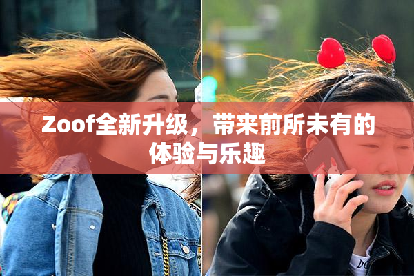 Zoof全新升级，带来前所未有的体验与乐趣