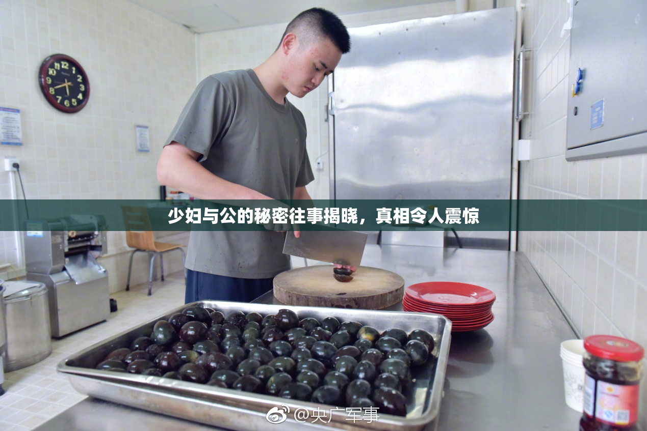 少妇与公的秘密往事揭晓，真相令人震惊