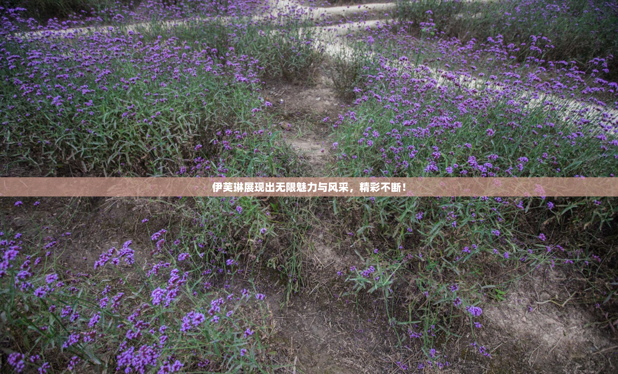 伊芙琳展现出无限魅力与风采，精彩不断！