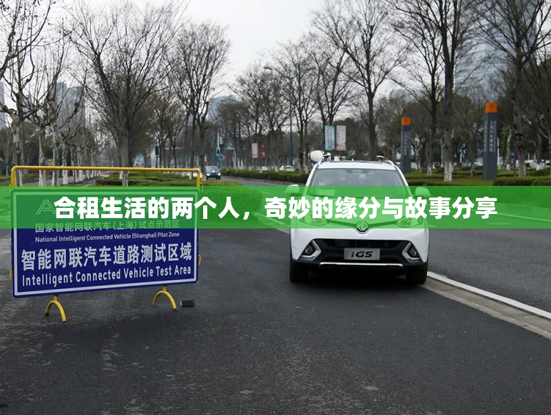 合租生活的两个人，奇妙的缘分与故事分享