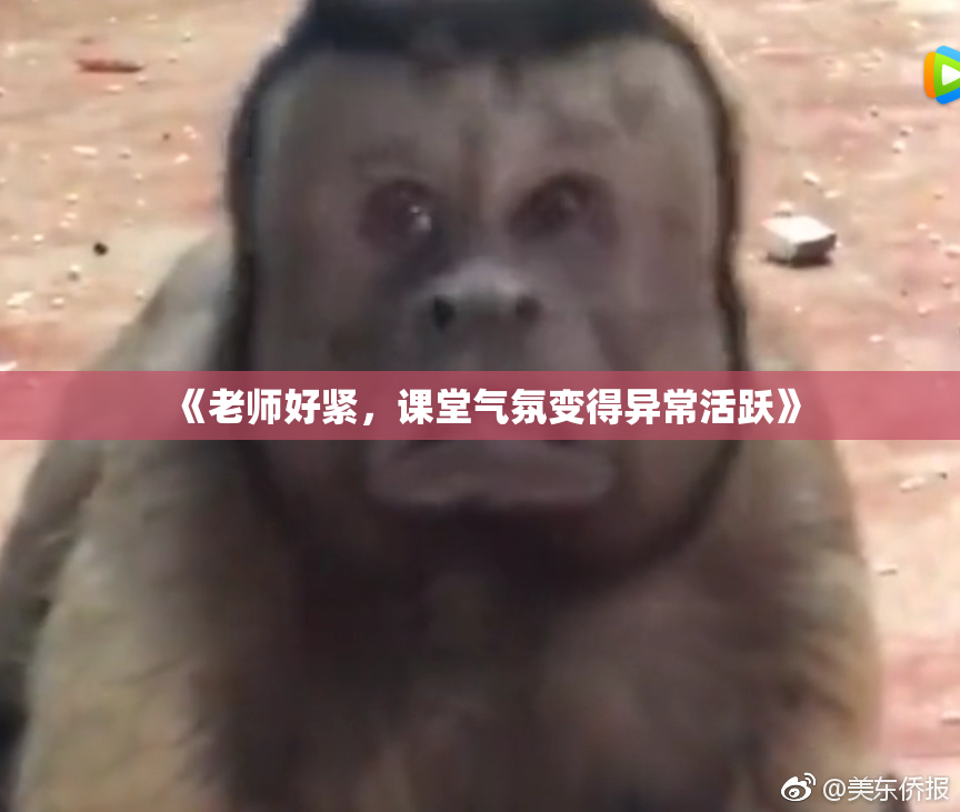 《老师好紧，课堂气氛变得异常活跃》