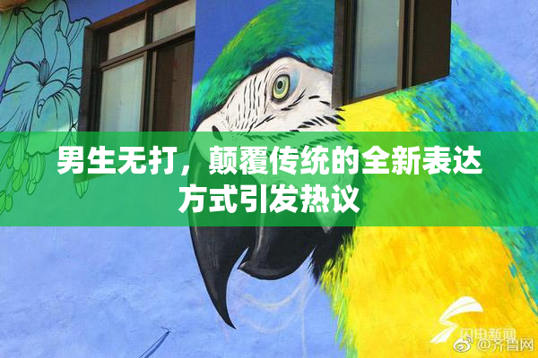 男生无打，颠覆传统的全新表达方式引发热议