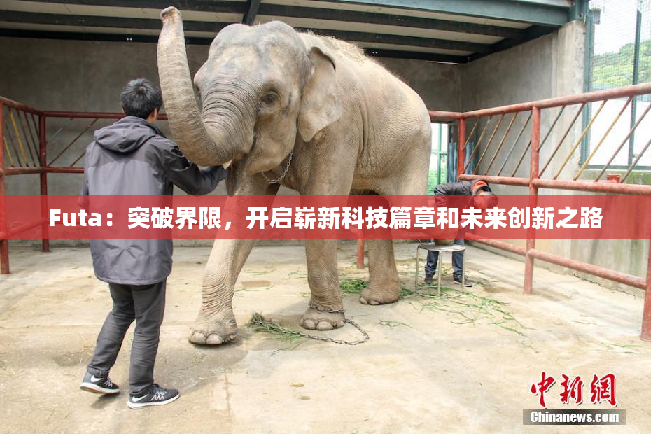 Futa：突破界限，开启崭新科技篇章和未来创新之路