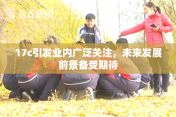 17c引发业内广泛关注，未来发展前景备受期待