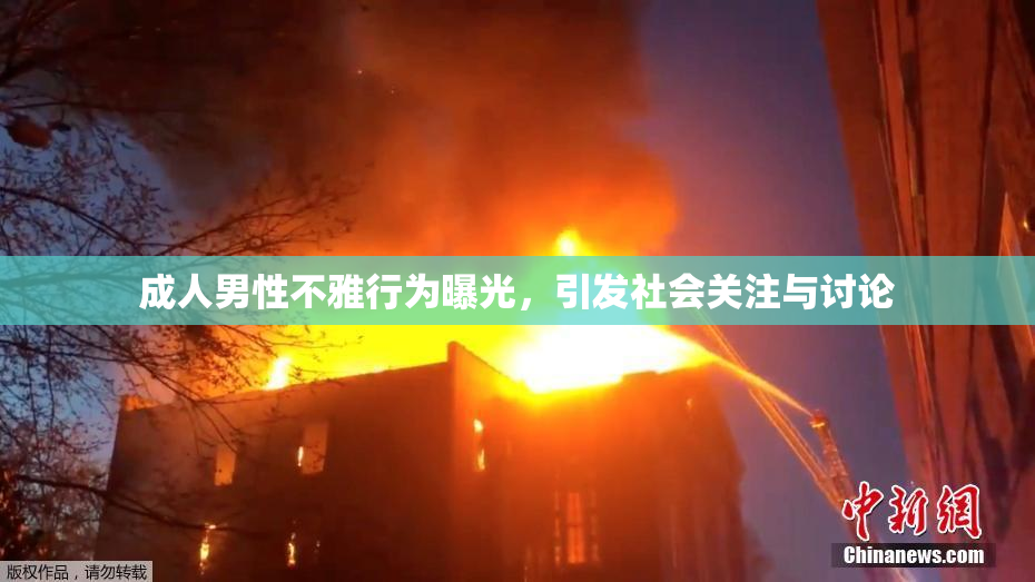 成人男性不雅行为曝光，引发社会关注与讨论
