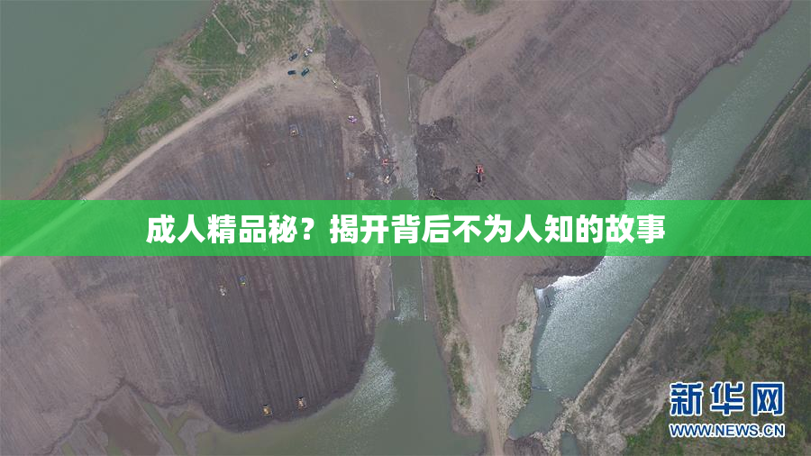 成人精品秘？揭开背后不为人知的故事