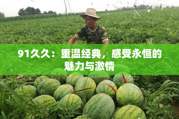 91久久：重温经典，感受永恒的魅力与激情