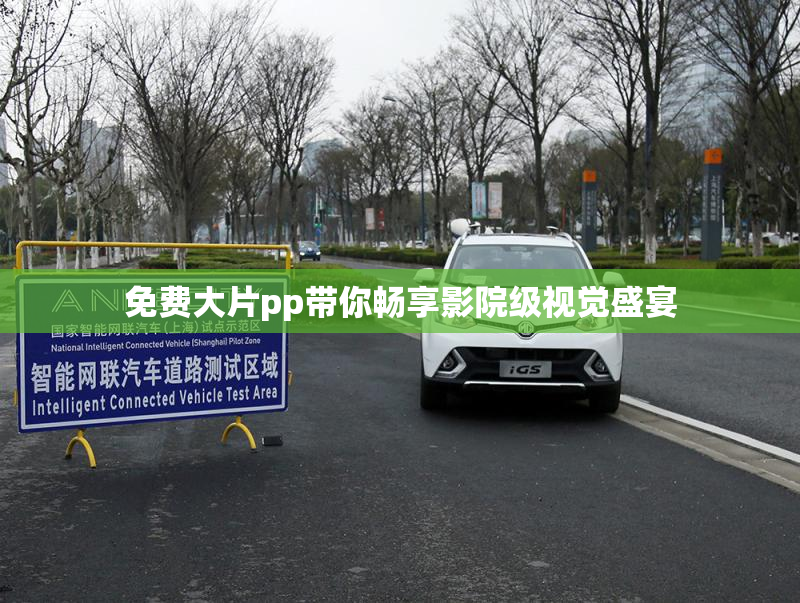免费大片pp带你畅享影院级视觉盛宴
