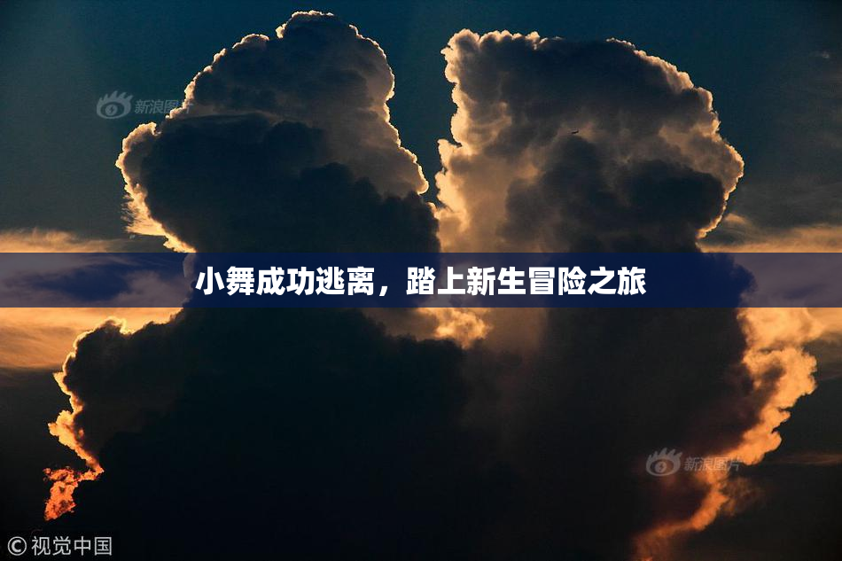 小舞成功逃离，踏上新生冒险之旅