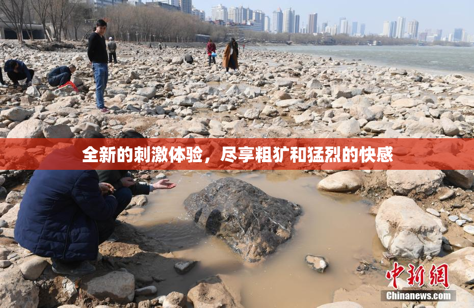 全新的刺激体验，尽享粗犷和猛烈的快感