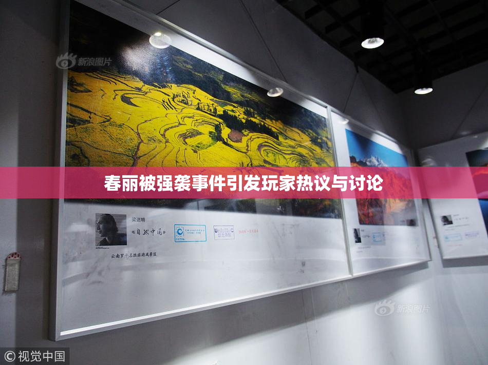 春丽被强袭事件引发玩家热议与讨论
