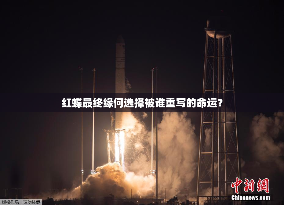 红蝶最终缘何选择被谁重写的命运？