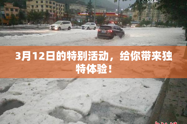 3月12日的特别活动，给你带来独特体验！