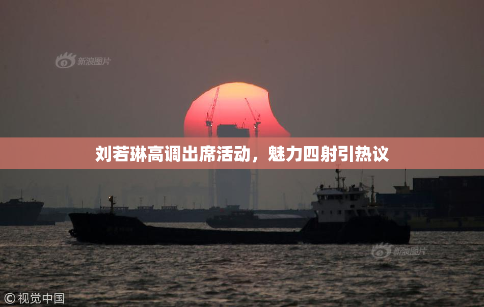 刘若琳高调出席活动，魅力四射引热议