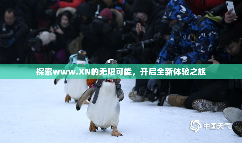 探索www.XN的无限可能，开启全新体验之旅